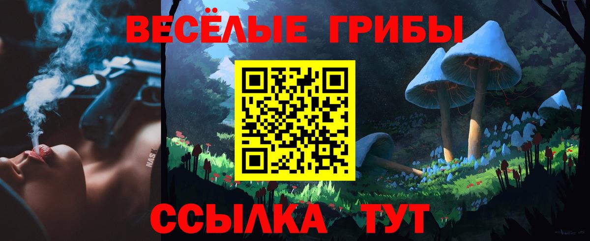 Галлюциногенные грибы прущие грибы Костомукша