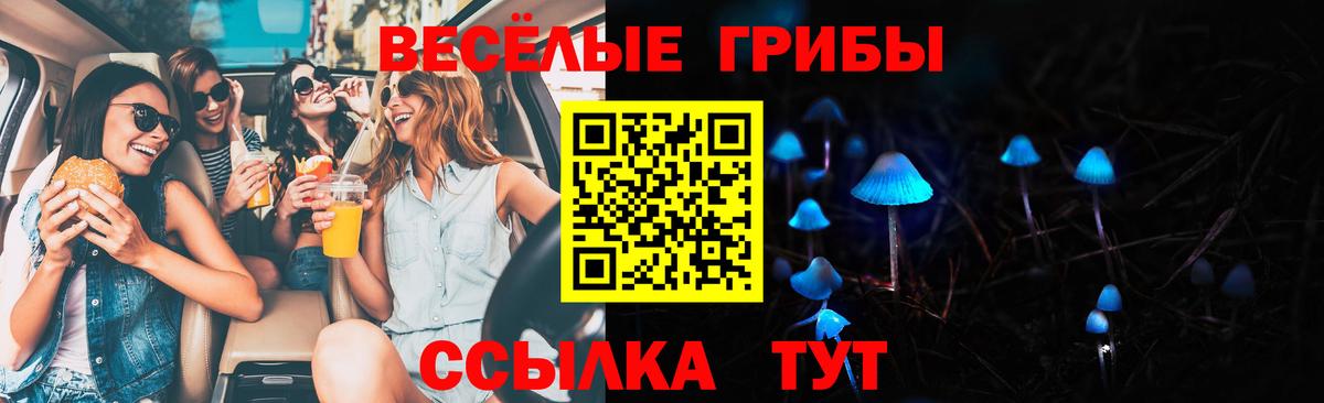 Костомукша  Псилоцибиновые грибы GOLDEN TEACHER  Вход с VPN 